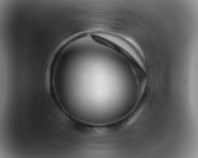 X0000089450983200706151428