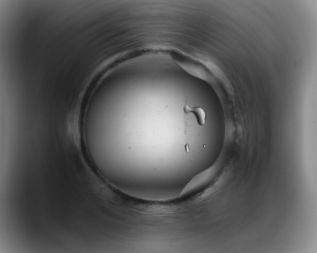 X0000089450984200706151428