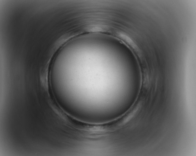 X0000089450986200706151428