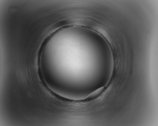 X0000089450987200706151428
