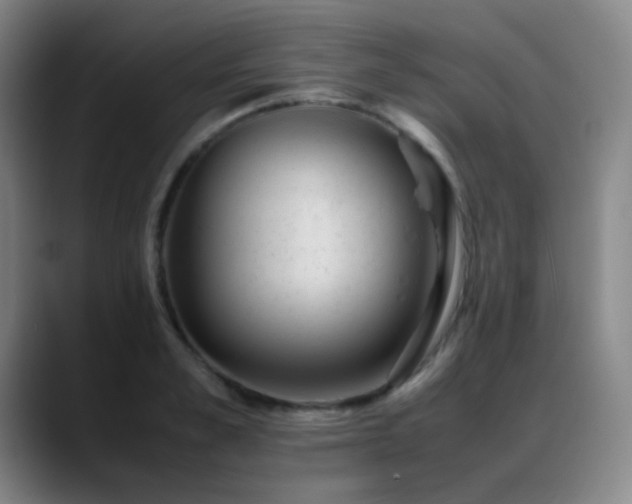 X0000089450989200706151428