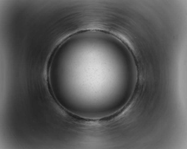 X0000089450990200706151428
