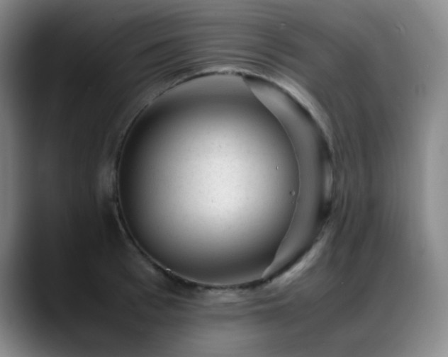 X0000089450993200706151428
