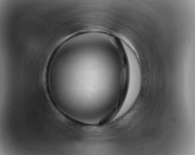 X0000089450995200706151428