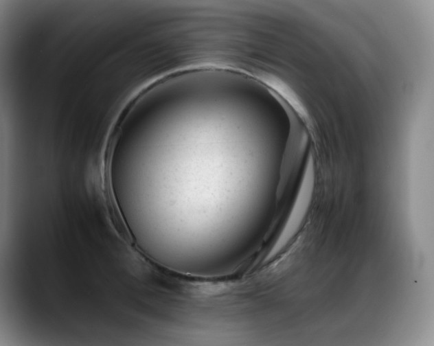 X0000089450996200706151428