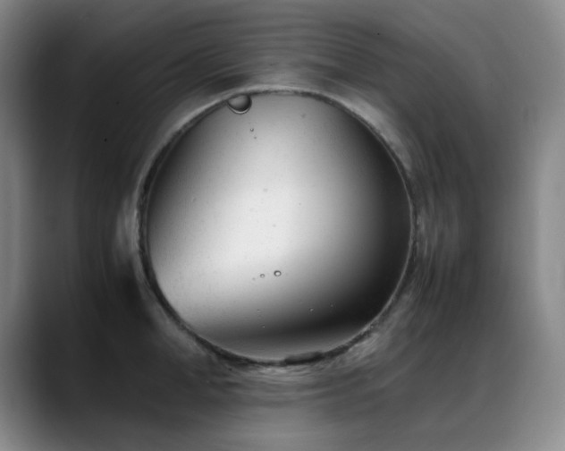 X0000089450998200706151428