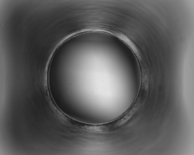X0000089451004200706151428