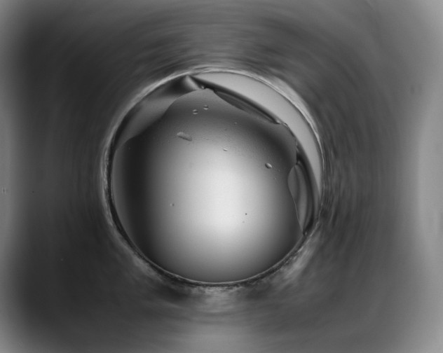 X0000089451005200706151428