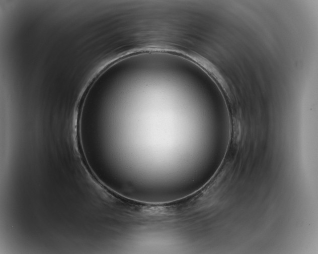 X0000089451006200706151428