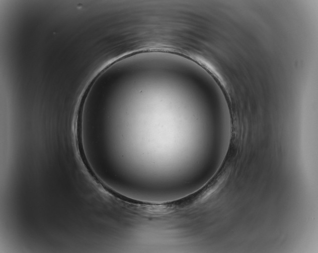 X0000089451007200706151428