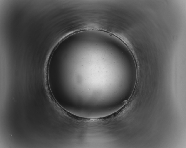 X0000089451008200706151428
