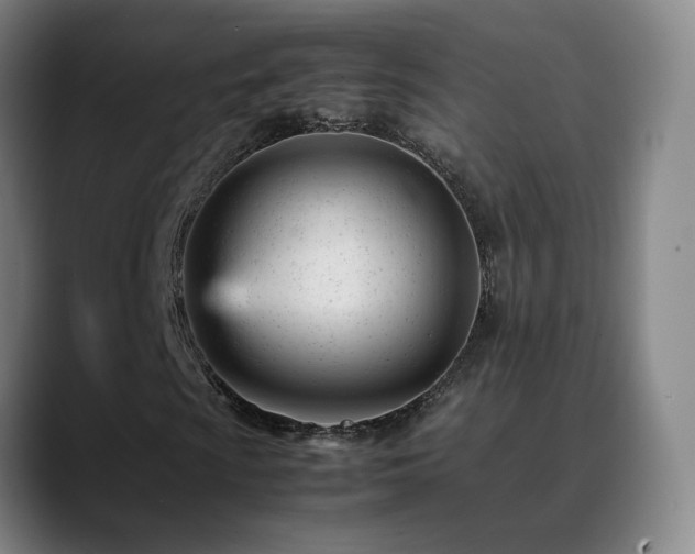 X0000089451009200706151428