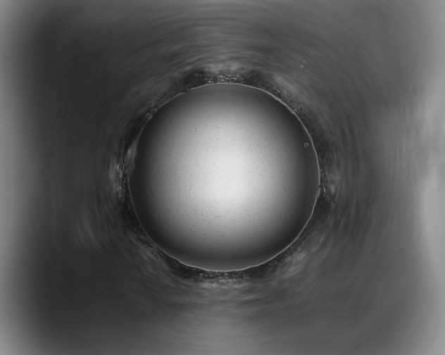 X0000089451010200706151428