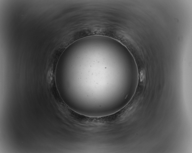 X0000089451011200706151428