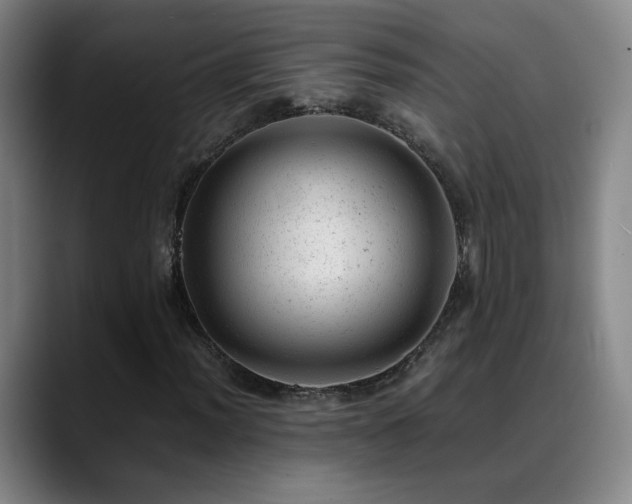 X0000089451012200706151428