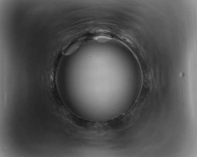 X0000089451013200706151428