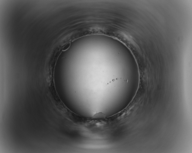 X0000089451015200706151428