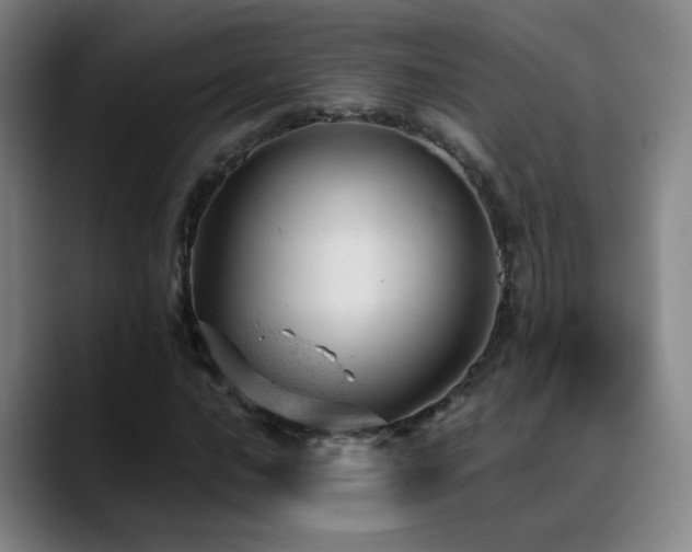 X0000089451016200706151428