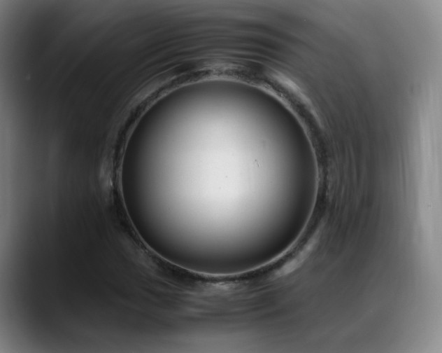X0000089451017200706151428