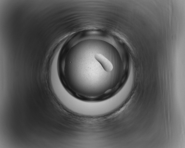 X0000089451018200706151428