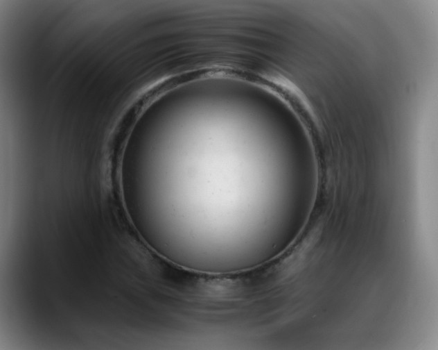 X0000089451019200706151428