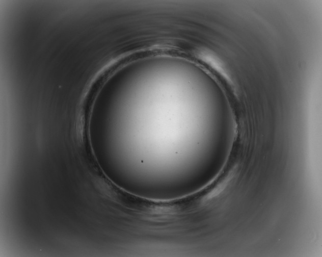 X0000089451021200706151428