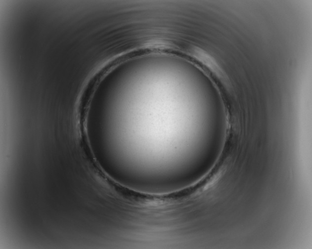 X0000089451022200706151428