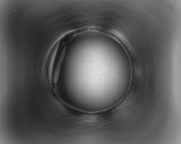 X0000089451023200706151428