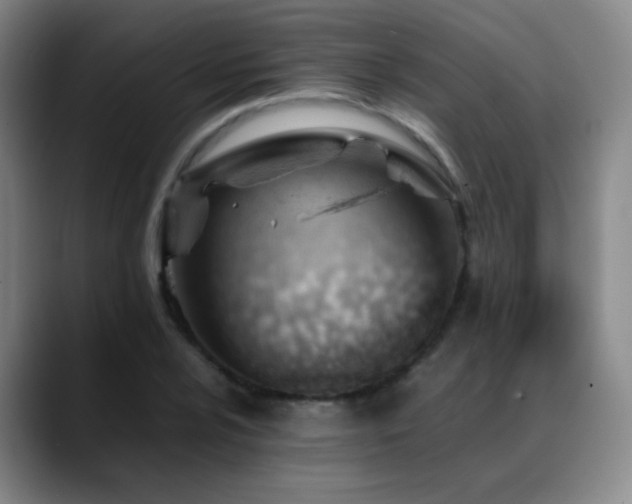 X0000089451024200706151428