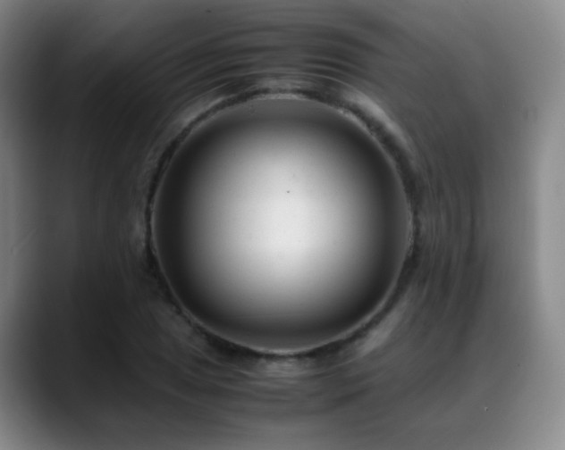 X0000089451025200706151428