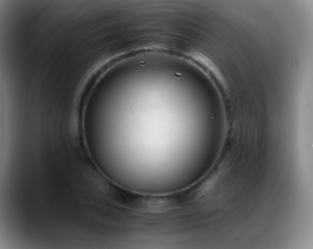 X0000089451027200706151428