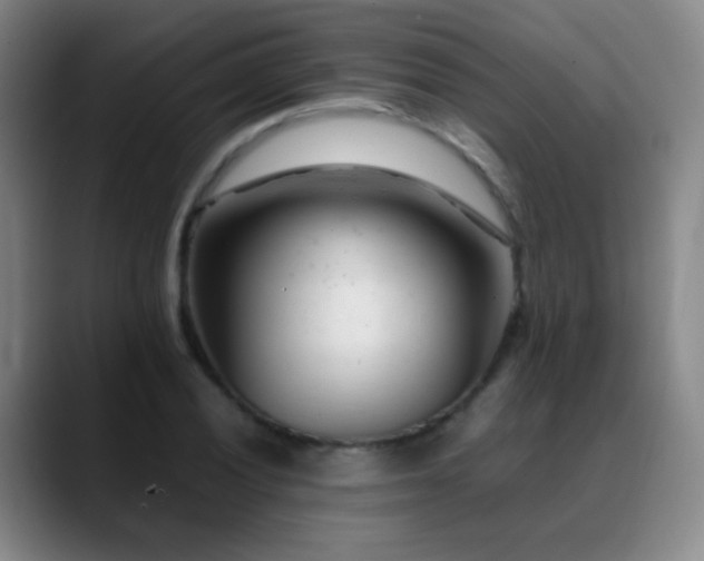 X0000089451028200706151428
