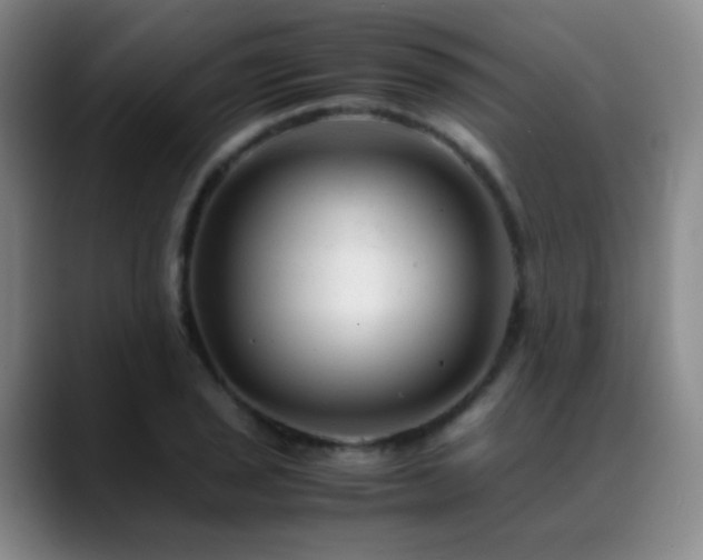 X0000089451029200706151428