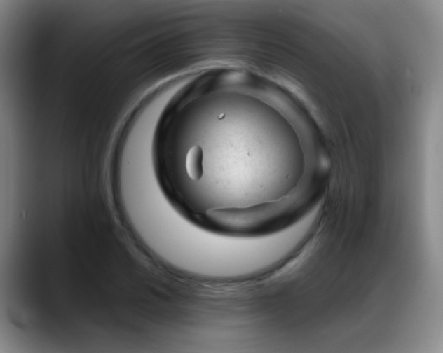 X0000089451030200706151428