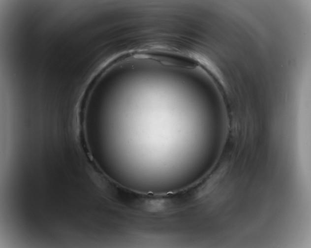 X0000089451031200706151428