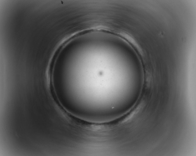 X0000089451032200706151428