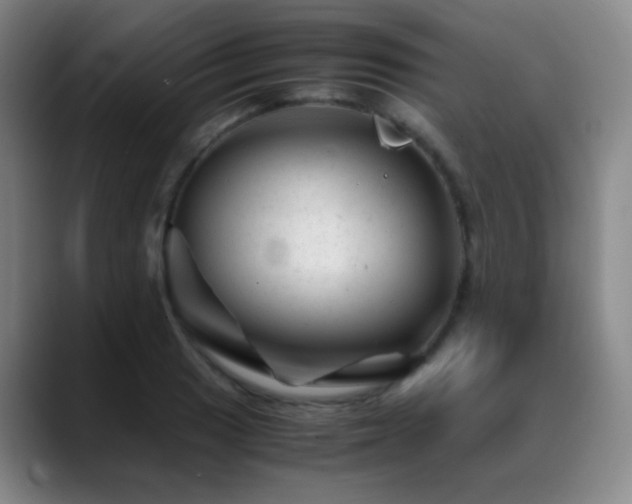 X0000089451033200706151428