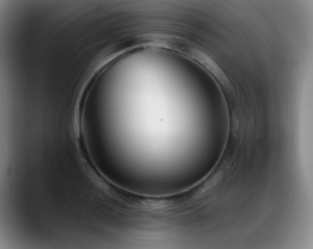 X0000089451036200706151428