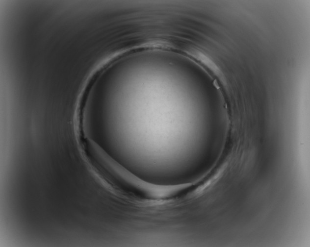 X0000089451037200706151428