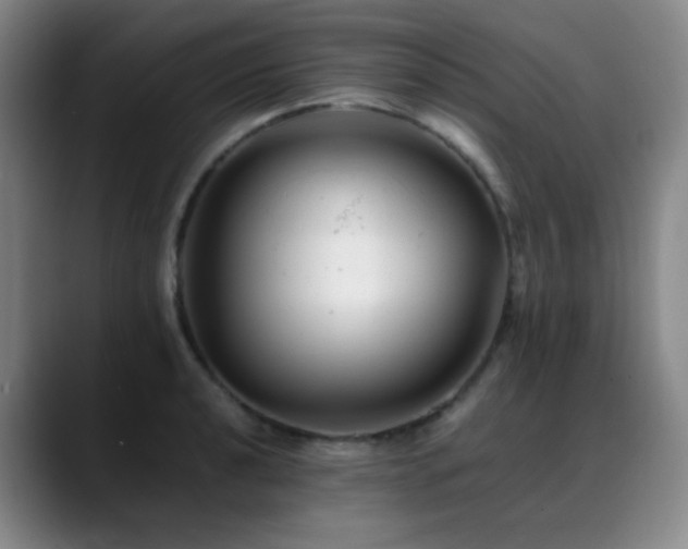 X0000089451040200706151428