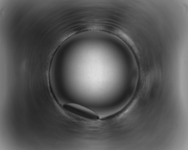 X0000089451041200706151428