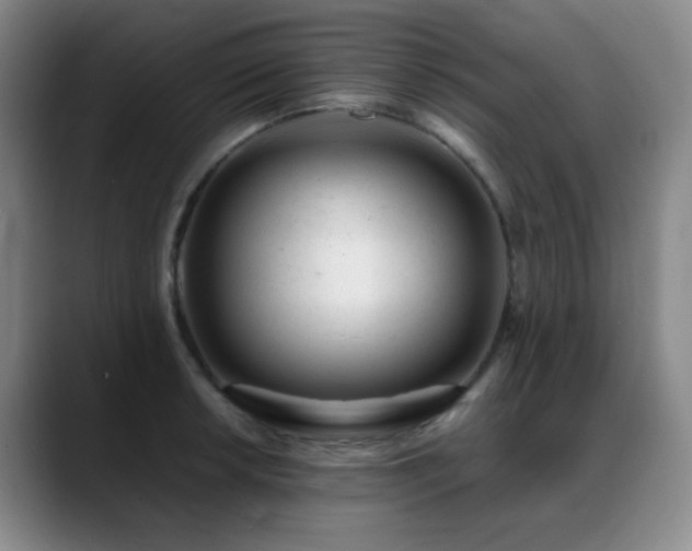 X0000089451042200706151428