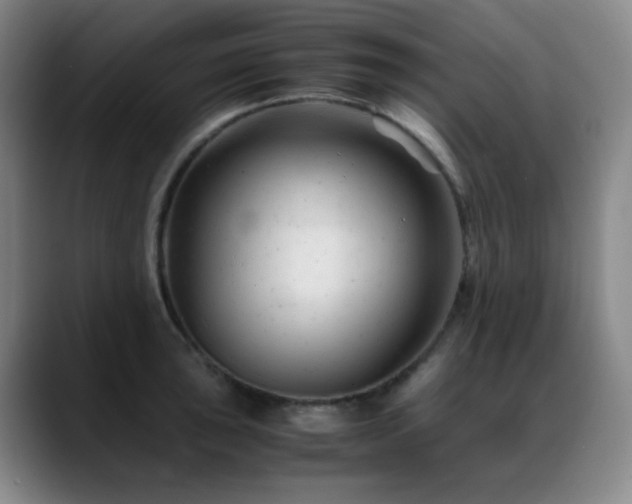 X0000089451043200706151428