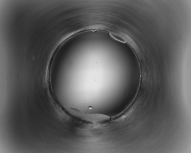 X0000089451044200706151428