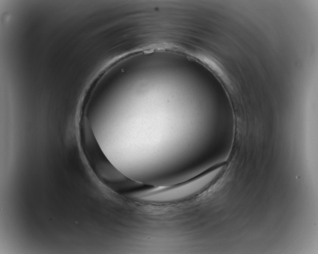 X0000089451046200706151428