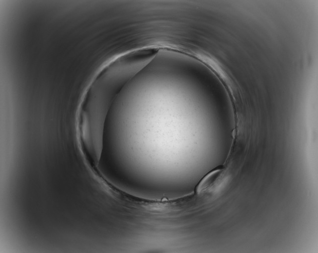 X0000089451048200706151428