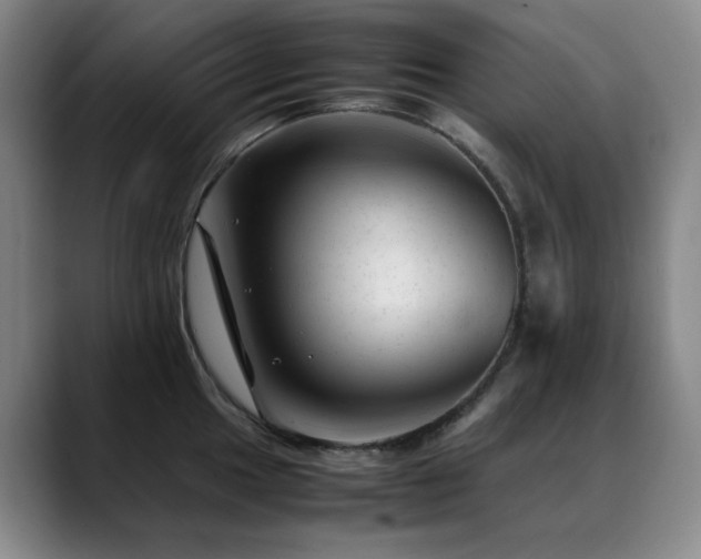 X0000089451049200706151428