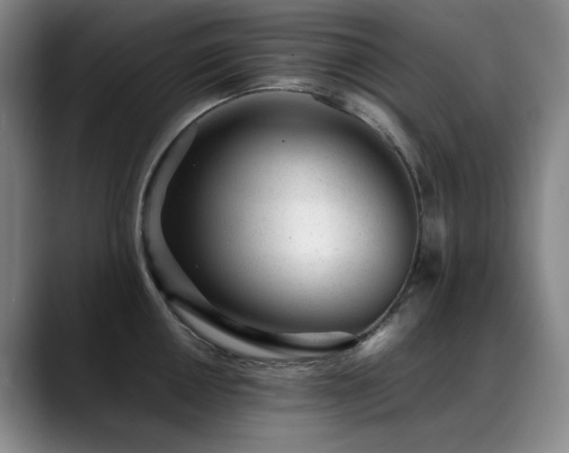 X0000089451050200706151428