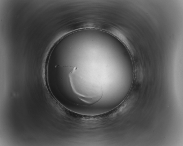 X0000089451051200706151428