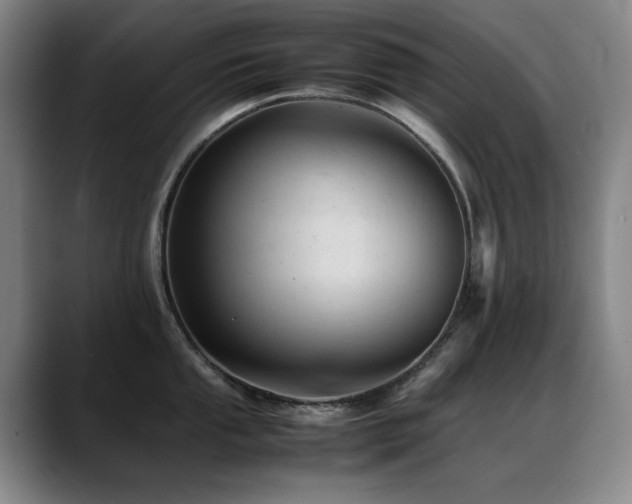 X0000089451053200706151428